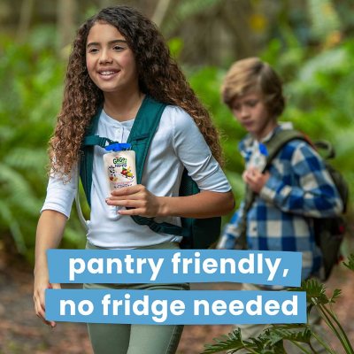 GoGo Squeez Yogurtz Strawberry and Strawberry Banana, 20 ct.