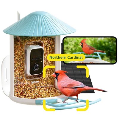 Birdfy Standard Smart Bird Feeder