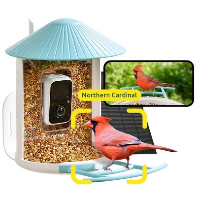 Birdfy Smart Bird Feeder with Camera