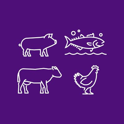 Spanglish Asadero All Purpose Seasoning, 8.3 oz.