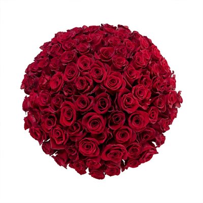 Member's Mark Rose Bouquet and Vase, 100 stems, Choose color variety