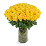 Member's Mark Rose Bouquet and Vase, 100 stems, Choose color variety