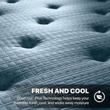 Beautyrest Silver Dearborn Mattress Available in Extra Firm, Medium Pillow Top, and Plush