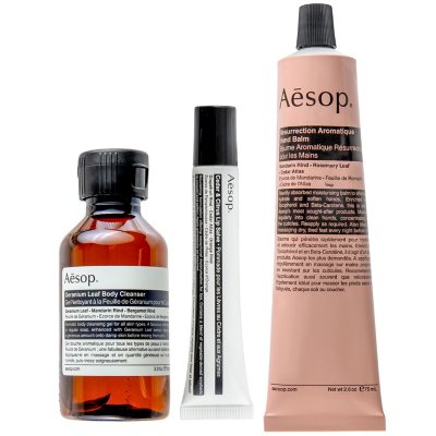 Aesop Fabulous Forms Skincare Kit
