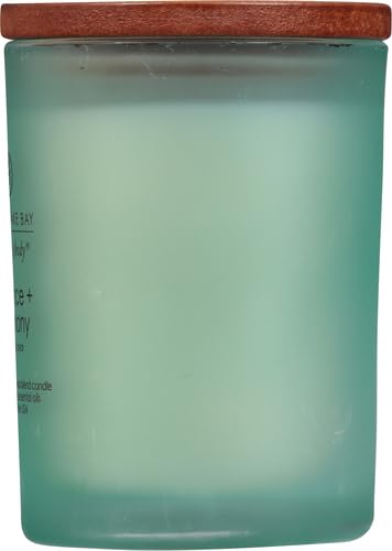Chesapeake Bay Balance + Harmony Scented Candle Water Lily Pear Fragrance 50 Hours Burn Time Warm & Decorative Soy Wax Blend