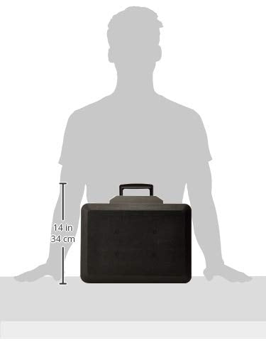 SentrySafe Fireproof Safe Box with Key Lock, Chest Safe with Carrying Handle to Secure Money, Jewelry, Documents, 0.25 Cubic Feet, 6.3 x 15.3 x 12.1 Inches, 1160