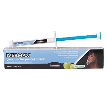 First Companion Ivermax (Ivermectin) Equine Paste 6.08 Gram 1 Pack, Blue