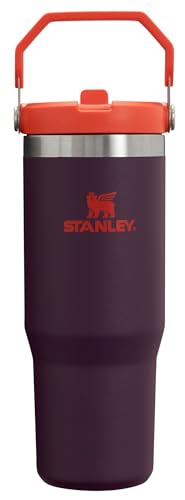 STANLEY IceFlow Stainless Steel Tumbler - Vacuum Insulated Water Bottle for Home, Office or Car Reusable Cup with Straw Leak Resistant Flip Cold for 12 Hours or Iced for 2 Days, Charcoal, 30OZ