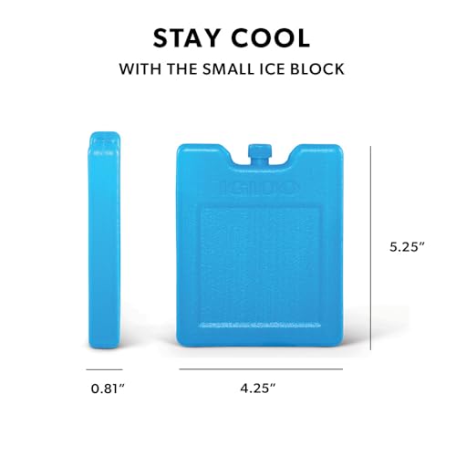 Igloo Small Maxcold 4 Pack Ice Block, Reusable Ice Packs for Coolers, Freezer Pack, Cold Packs for Coolers, Long Lasting Ice Blocks
