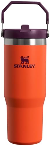 STANLEY IceFlow Stainless Steel Tumbler - Vacuum Insulated Water Bottle for Home, Office or Car Reusable Cup with Straw Leak Resistant Flip Cold for 12 Hours or Iced for 2 Days, Charcoal, 30OZ