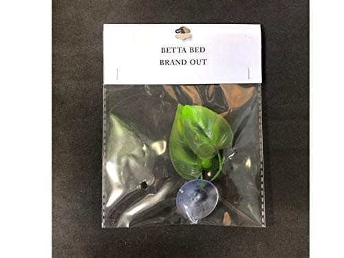 CousDUoBe 2 Pack Betta Fish Leaf Pad Improves Betta's Health by Simulating The Natural Habitat - Natural, Organic, Comfortable Rest Area for Fish Aquarium Ornaments
