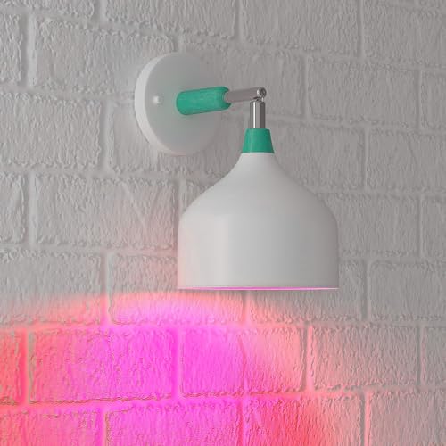 Amazon Basics A19 Red Color Party LED Light Bulbs, 60 Watt Equivalent, Energy Efficient 9W, E26 Standard Base, Non-Dimmable, 10,000 Hour Lifetime, 2-Pack