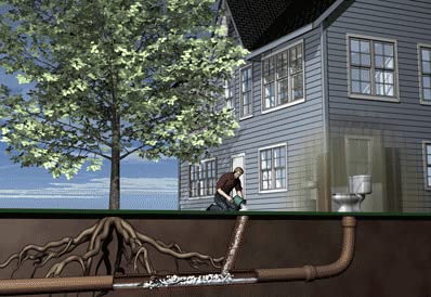 ROOTX - 2LB. JAR with Funnel/APPLICATOR Foaming Root Control for Sewer Lines and Septic Systems