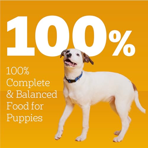 Pedigree Puppy Chopped Ground Dinner Canned Wet Puppy Food with Chicken & Beef, 13.2 oz. Cans (12 Count, Pack of 1)