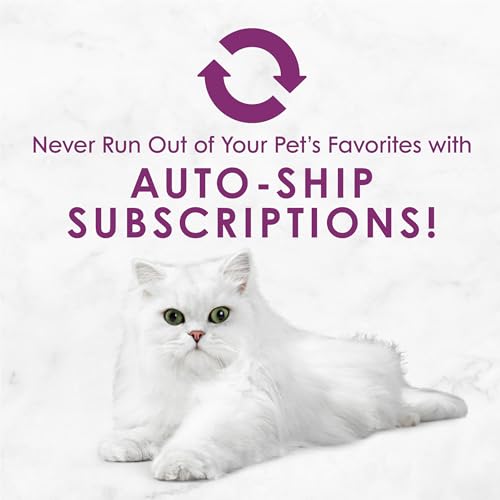 Purina Fancy Feast Savory Centers Wet Cat Food Pate Variety Pack With Chicken, Salmon, Beef, and Tuna Pate with Gravy Center - (Pack of 24) 3 oz. Cans