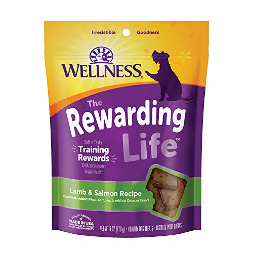 Wellness Rewarding Life Grain-Free Soft Dog Treats (Previously Wellbites), Made in USA with Natural Ingredients, Ideal for Training (Lamb & Salmon, 6-Ounce Bag)