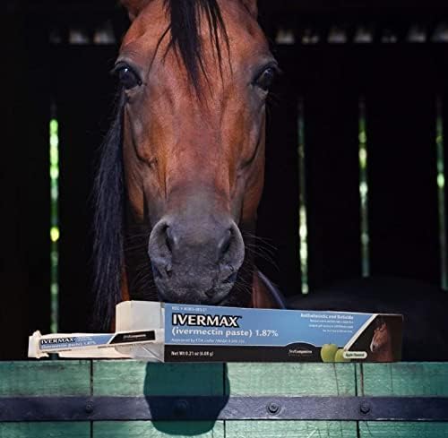 First Companion Ivermax (Ivermectin) Equine Paste 6.08 Gram 1 Pack, Blue