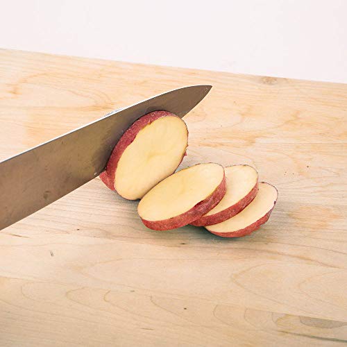 PrepWorks Tower Fry Cutter – Heavy-Duty Potato Cutter for Perfect Fries, Easy-to-Use, Stainless Steel Blades, BPA-Free