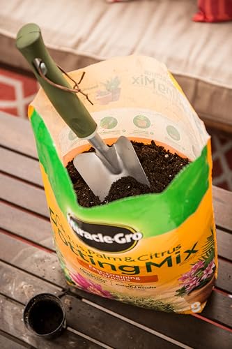 Miracle-Gro Cactus, Palm and Citrus Potting Mix, for Indoor or Outdoor Potted Plants, Great for Succulents, 8 qt., 2-Pack