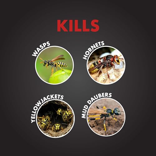Spectracide PRO Wasp & Hornet Killer (Aerosol)(18 oz), Pack of 1, White Can
