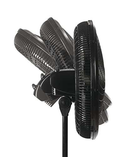 Lasko Pedestal Fan, Oscillating Fan for Bedroom with Adjustable Height and 3 Cooling Speeds, Portable, 18", Black, 1827