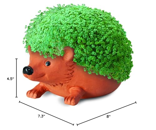 Chia Pet Hedgehog Decorative Pottery Planter with Seed Pack, Decorative Pottery Planter, Easy to Do and Fun to Grow, Novelty Gift, Perfect for Any Occasion