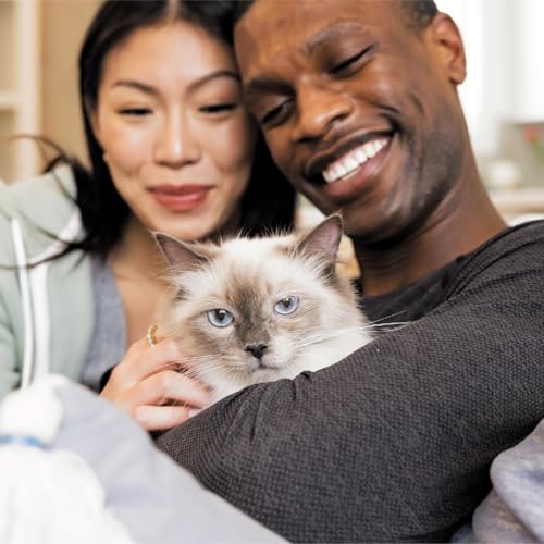 IAMS Proactive Health Indoor Weight Control & Hairball Care Adult Dry Cat Food, Chicken & Turkey Recipe, 7 lb. Bag