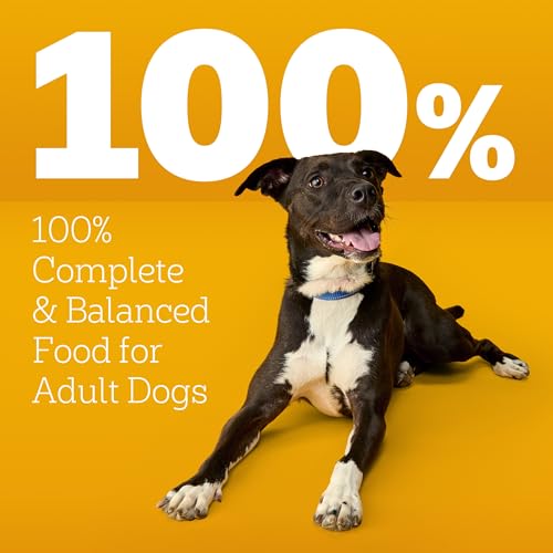 Pedigree High Protein Adult Dry Dog Food, Beef and Lamb Flavor, 18 lb. Bag