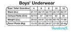 Hot Wheels BoxerBriefs and Briefs available in Sizes 2/3T, 4T, 4, 6, 8 and 10