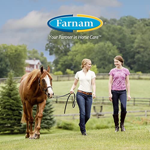 Farnam Endure Sweat-Resistant Fly Spray for Horses, Lasts Up to 14 Days, Protects Against Flies, Gnats, Mosquitoes, Ticks & Lice, 32 oz.