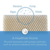 Honeywell Home HC26P Whole House Humidifier Pad 10 x 13 x 1.5 inches