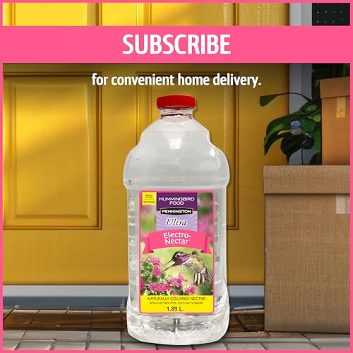 Pennington 100543828 ElectroNectar Hummingbird Food Ready to Use, Clear