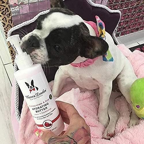 Warren London Hydrating Butter Leave In Pet Conditioner for Dogs | Lotion Skin and Coat Aloe Puppy & Dog Hair Detangler, Dry Skin, Fur Dandruff Use After Shampoo Bathing Made in USA Guava 8oz