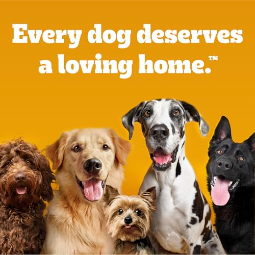 Pedigree Choice Cuts in Gravy Adult Canned Soft Wet Dog Food, Beef & Country Stew, 13.2 oz. Cans (12 Count, Pack of 1)