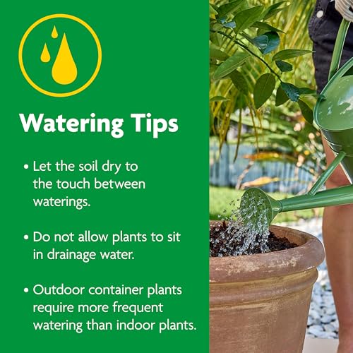 Miracle-Gro Cactus, Palm and Citrus Potting Mix, for Indoor or Outdoor Potted Plants, Great for Succulents, 8 qt., 2-Pack