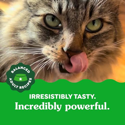 Greenies Feline Adult Dental Cat Treats, Oven Roasted Chicken Flavor, 9.75 oz. Tub