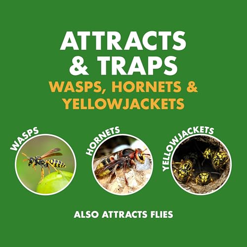 Spectracide Wasp, Hornet & Yellowjacket Trap, Hanging Wasp & Hornet Trap with a Quick-Drown Formula That Submerges & Kills Insects, 1 Count