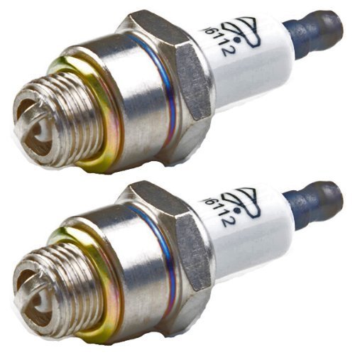 Briggs & Stratton 796112-2pk Spark Plug (2 Pack) Replaces J19LM, RJ19LM, 802592, 5095K by Briggs & Stratton