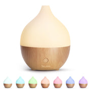 SALKING Essential Oil Diffuser, 100ml Small Aromatherapy Diffuser with Auto Shut-Off Function, Ultrasonic Diffusers for Essential Oils, Cool Mist Humidifier with Warm White Lights, for Office Home