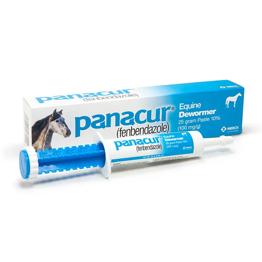 Panacur (3 Pack) Dewormer Horse Paste 10%, 100mg Each