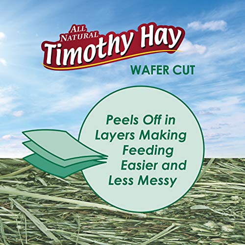 Kaytee Wafer Cut All Natural Timothy Hay for Pet Guinea Pigs, Rabbits & Other Small Animals, 60 Ounce
