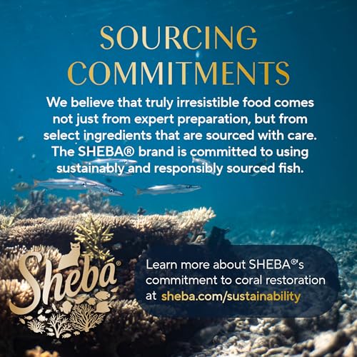 Sheba Perfect Portions Wet Cat Food Cuts in Gravy Variety Pack, Roasted Chicken Entree and Tender Turkey Entree, 2.6 oz. Twin-Pack Trays (12 Count, 24 Servings)