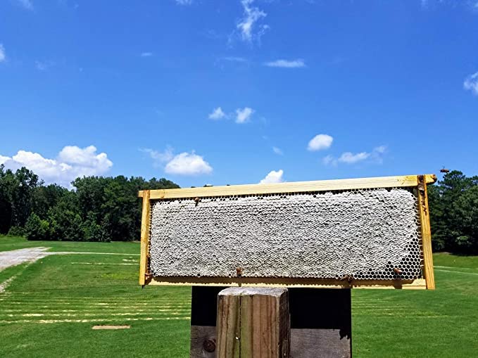 Bee-Quick® for Honey Harvesting - a Safe and Organic-Approved Beekeeper-Only Tool to Clear Honey Supers (8oz)