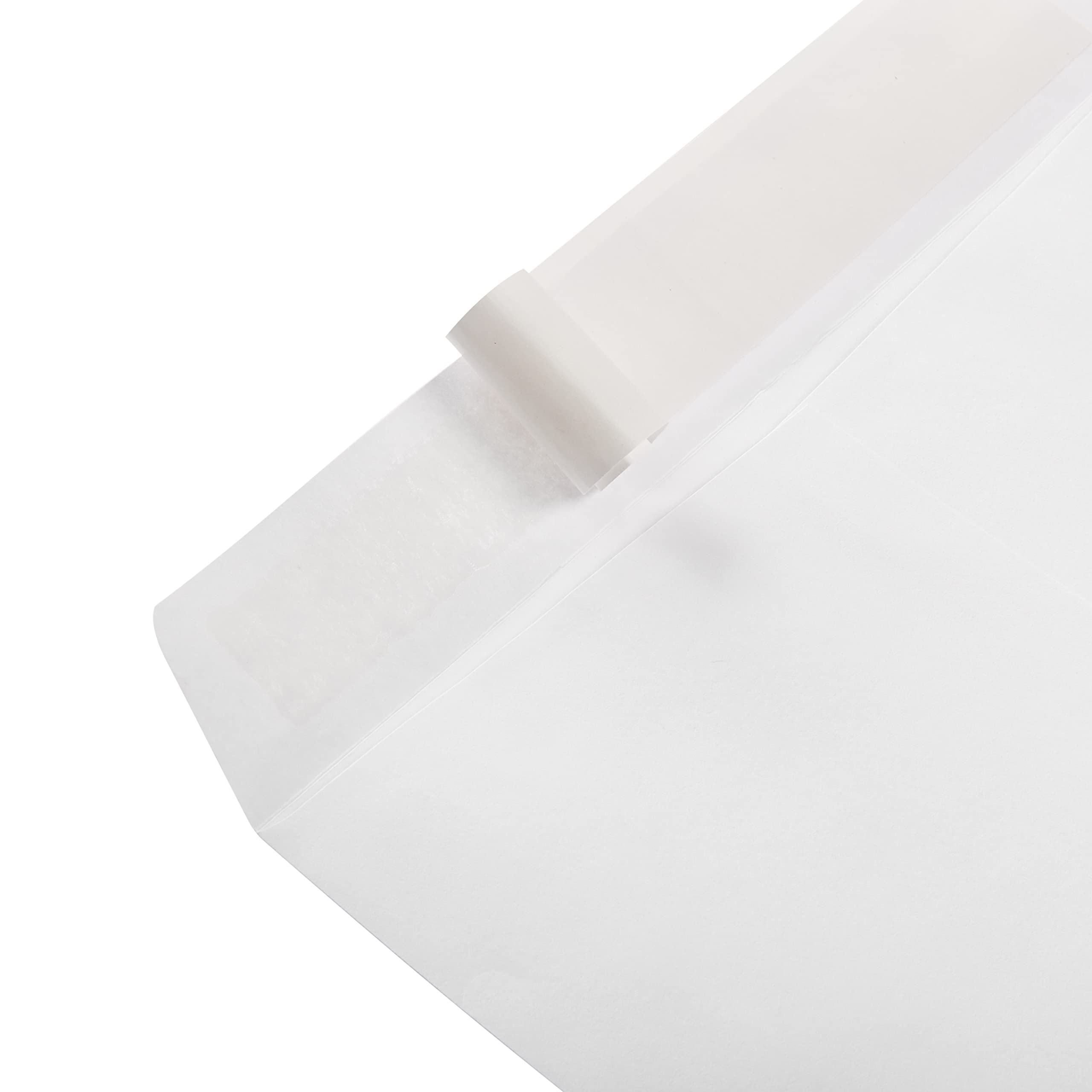 Amazon Basics Catalog Mailing Envelopes, Peel and Seal, 9x12 Inch, 100-Pack, White