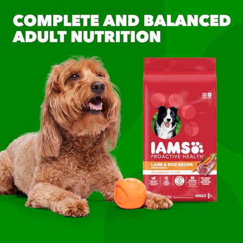 IAMS Proactive Health Minichunks Adult Dry Dog Food with Lamb & Rice, 30 lb. Bag