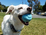 Chuckit! Fetch Medley Dog Ball Dog Toys, Medium (2.5 Inch) Pack of 3, for Medium Breeds, Includes Whistler, Max Glow and Rebounce Balls