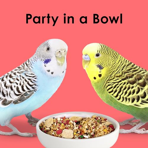 Kaytee Fiesta Parakeet Food, Nutritious and Fun Blend, Supports Skin, Feather, Digestion, Brain and Heart Health, 2 pounds