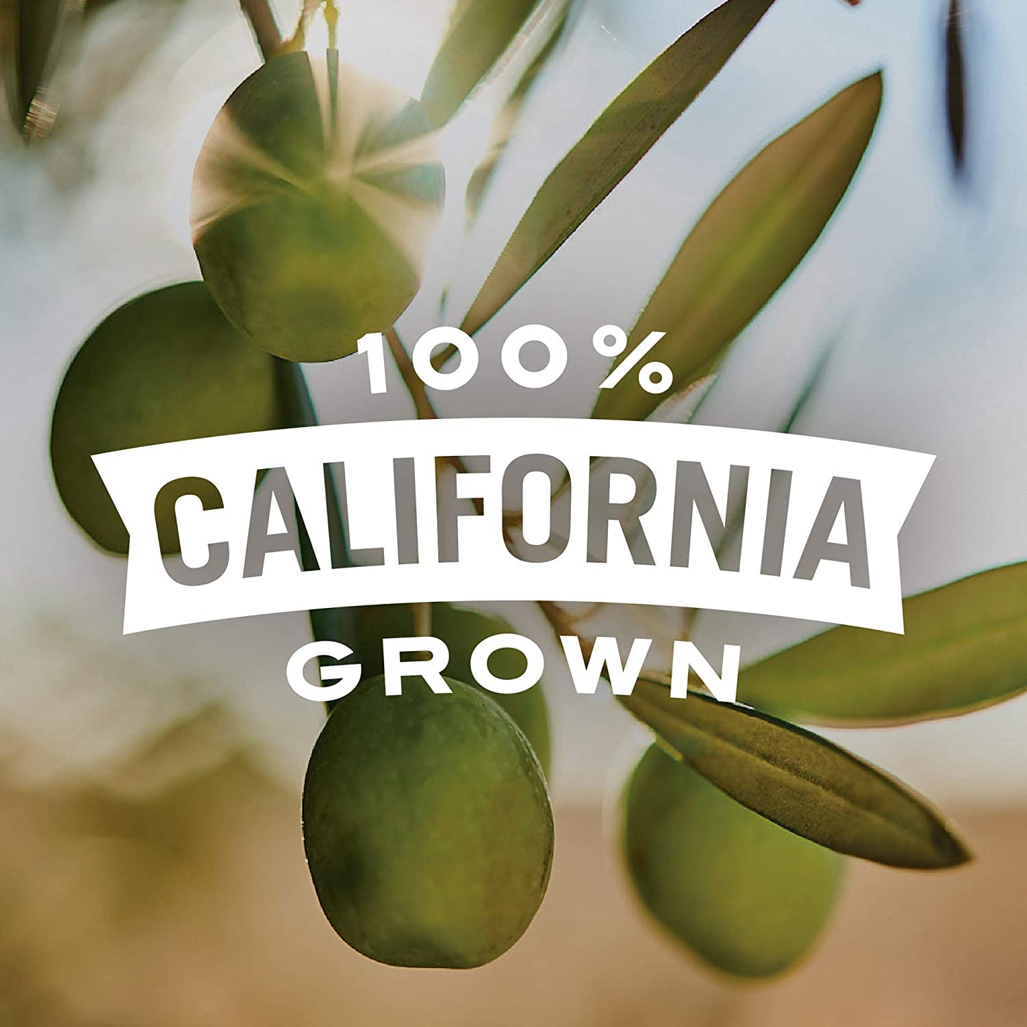 Pearls Olives To Go! Large Ripe Pitted Olives, Pack of 16, 1.2 oz Cups