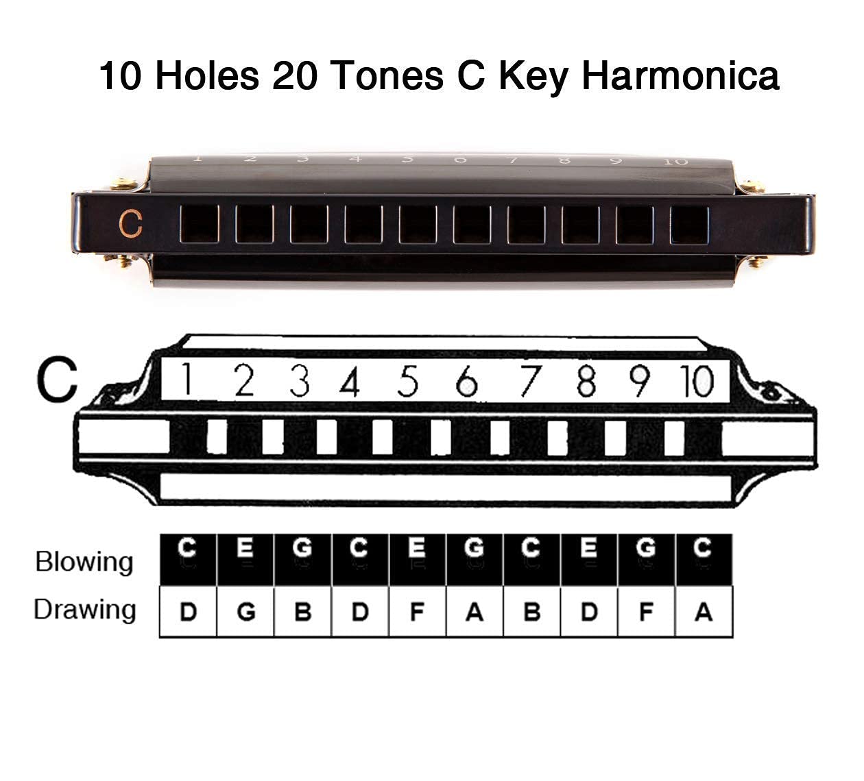 EastRock Blues Harmonica Mouth Organ 10 Hole C Key with Case, Diatonic Harmonica for Professional Player, Beginner, Students gifts, Adult, Friends, Gift Black