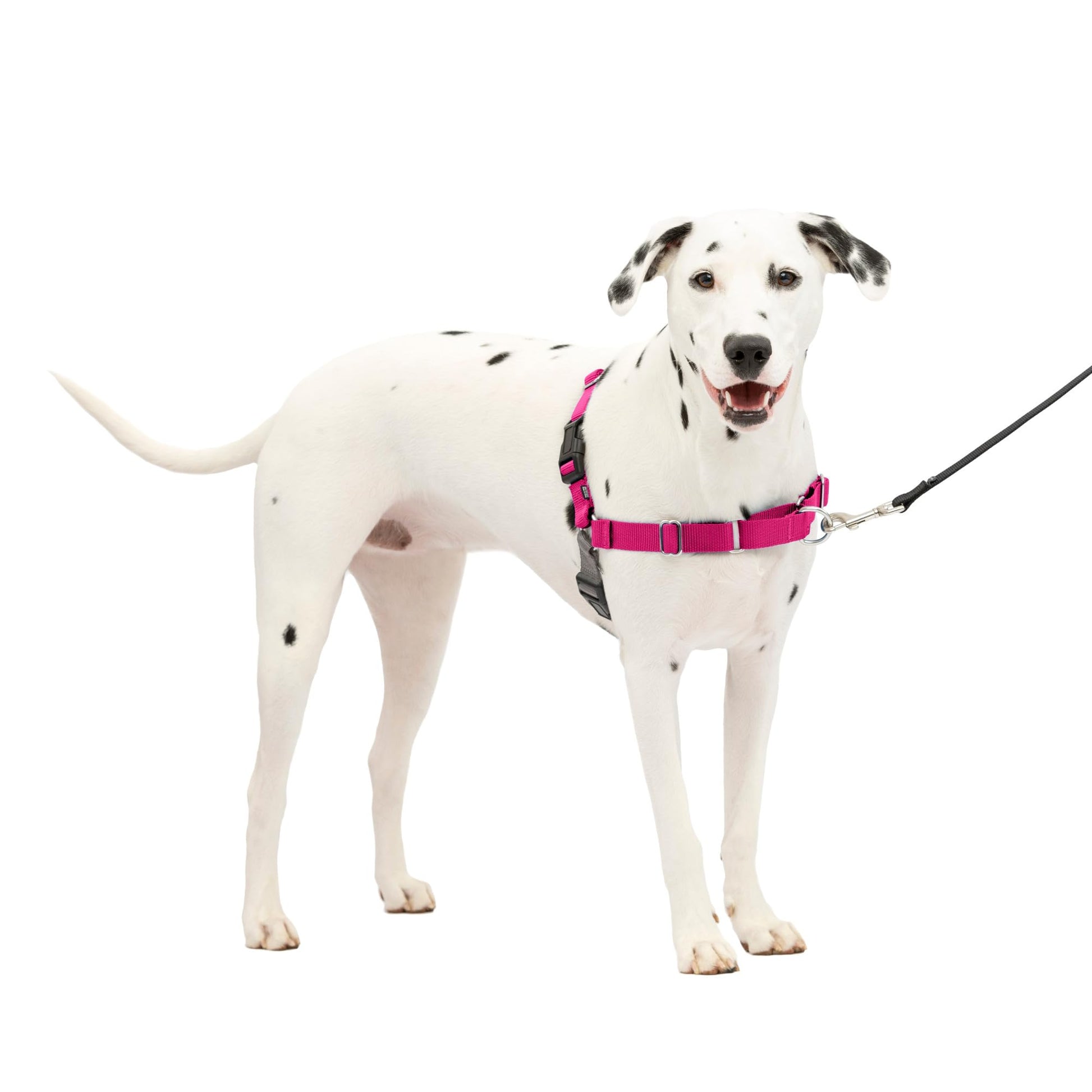 PetSafe Easy Walk No-Pull Dog Harness - The Ultimate Harness to Help Stop Pulling - Take Control & Teach Better Leash Manners - Helps Prevent Pets Pulling on Walks, Large, Black/Silver